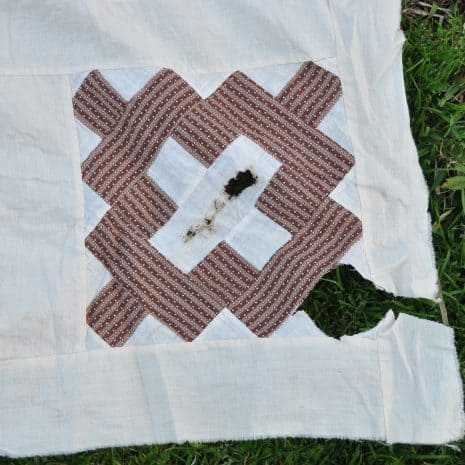 13 DSC 8880 13 DSC 8880