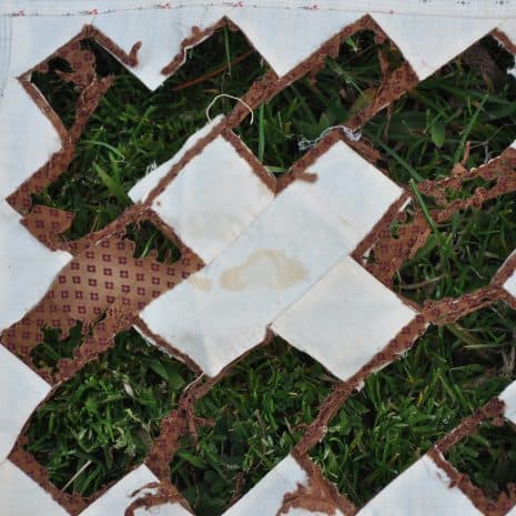 13 DSC 8960 13 DSC 8960