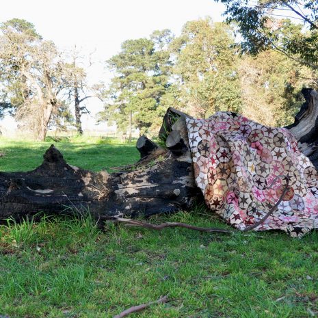 Starmania Quilt Starmania Quilt