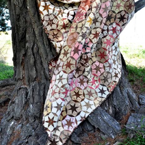 Zphoto 9862 Zphoto 9862