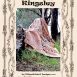 2a Kingsley Cover With Photo 230042019 00000