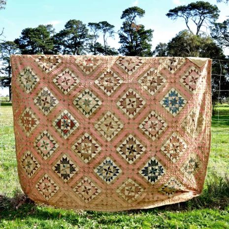 7 A Fenceshot DSC 8413 7 A Fenceshot DSC 8413