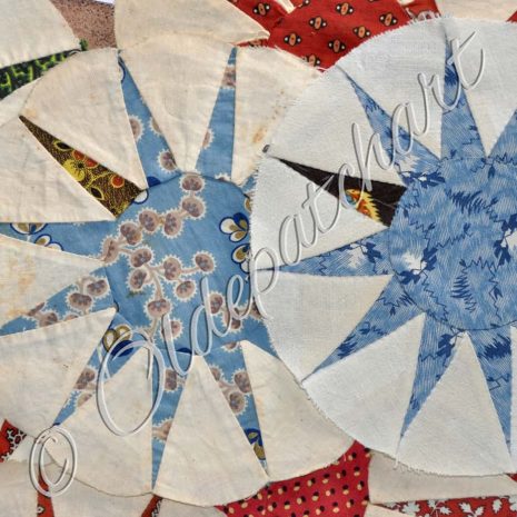 Flying Fruit Tingle DSC 9967 Flying Fruit Tingle DSC 9967