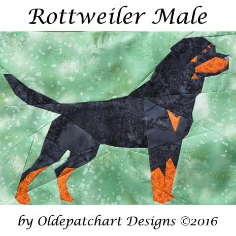 1 Photo Wasko Leg Square 1 Photo Wasko Leg Square