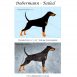 1 Dobe Tailed Pattern Cover