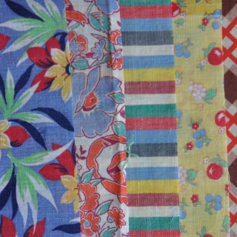 3 DSC 1480 3 DSC 1480