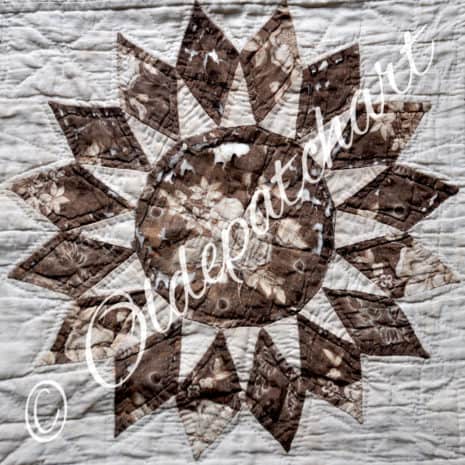 Sunflower Medallion DSC 3055 Sunflower Medallion DSC 3055