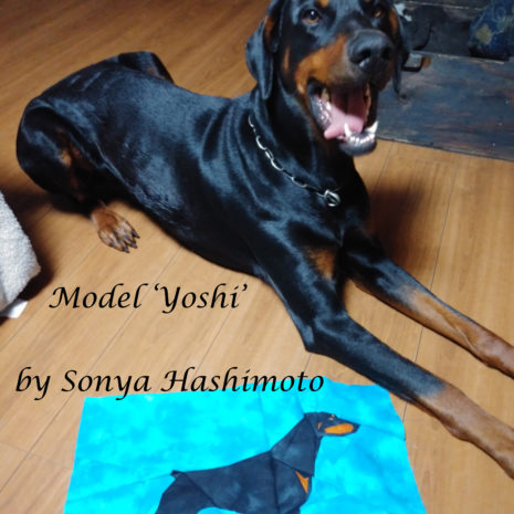 1 Dobermann Docked Fusion IMG01217 HDR PS Edit 1 Dobermann Docked Fusion IMG01217 HDR PS Edit