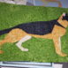 German Shepherd Dog Foundation Pattern