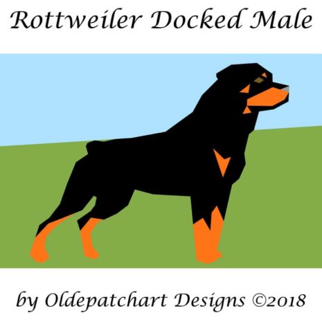Rottweiler Docked Male Foundation Pattern Blue Sky Rottweiler Docked Male Foundation Pattern