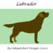 2 Labrador Foundation Paper Piecing Patternchoc Square
