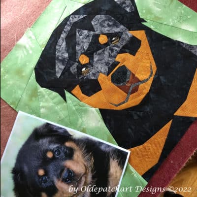 Rottweiler Puppy Foundation Paper Piecing Pattern