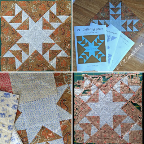 #1 Colliding Geese Collage #1 Colliding Geese Collage