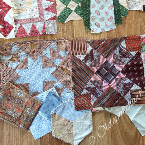 #1 Colliding Geese Duo IMG 20221214 181358057 #1 Colliding Geese Duo IMG 20221214 181358057