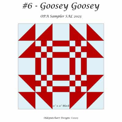 #6 Goosey Goosey Block Cover