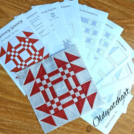 #6 Goosey Goosey Block Pattern Pages IMG 20230216 165239224 #6 Goosey Goosey Block Pattern Pages