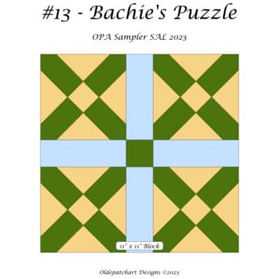 #13 Bachie's Puzzle Block Cover