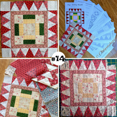 #14 Kitty Shark Collage #14 Kitty Shark Collage