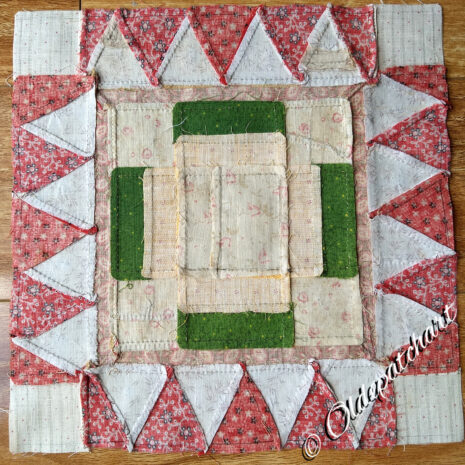 #14 Kitty Shark Block Back #14 Kitty Shark Block Back