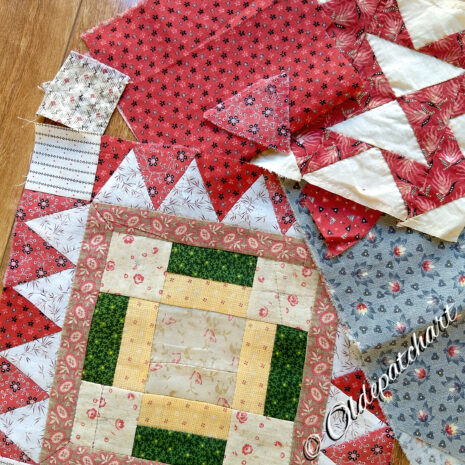 #14 Kitty Shark Fabric Matching #14 Kitty Shark Fabric Matching