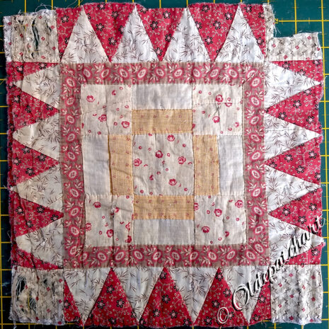 #14 Kitty Shark Original Block #14 Kitty Shark Original Block