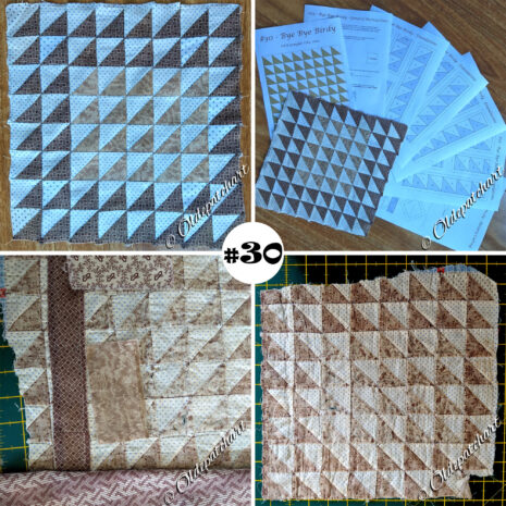 #30 Bye Bye Birdy Collage #30 Bye Bye Birdy Collage