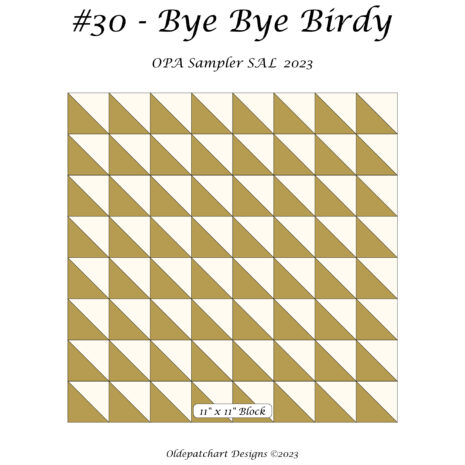 #30 Bye Bye Birdy Cover