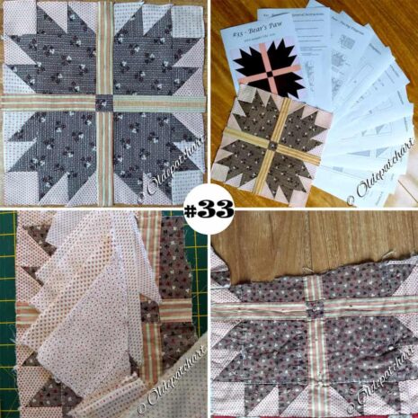 #33 Bear's Paw Collage #33 Bear's Paw Collage