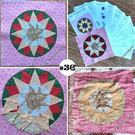 #36 Compass Star Collage #36 Compass Star Collage