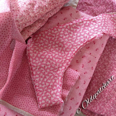 #36 Compass Star Picking Pinks #36 Compass Star Picking Pinks