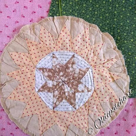 #36 Compass Star Testing Fabrics #36 Compass Star Testing Fabrics