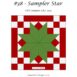 #38 Sampler Star Pattern Cover