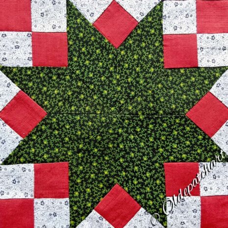 #38 Sampler Star Restored Block Closeup #38 Sampler Star Restored Block Closeup