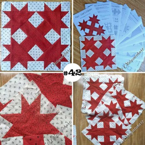 #42 Cat's Claws Collage #42 Cat's Claws Collage