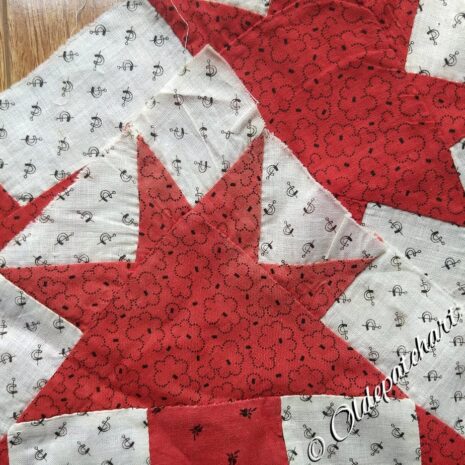 #42 Cat's Claws Faded Reds #42 Cat's Claws Faded Reds