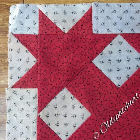 #42 Cat's Claws Restored Close Up #42 Cat's Claws Restored Close Up