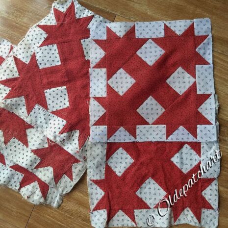 #42 Cat's Claws Restored Vs Original #42 Cat's Claws Restored Vs Original