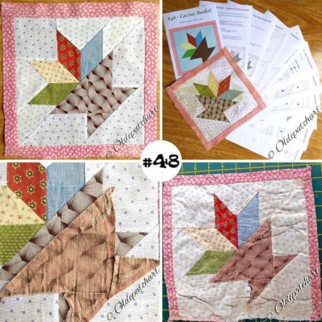 #48 Cactus Basket Collage #48 Cactus Basket Collage