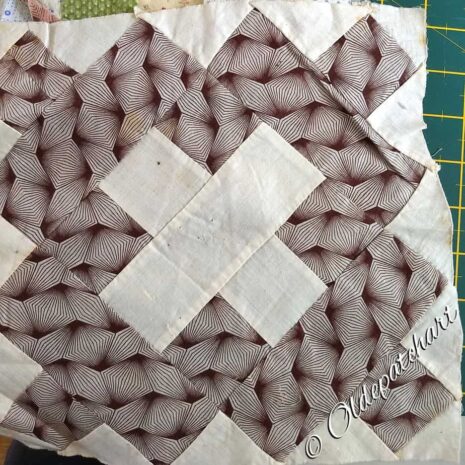 #48 Cactus Basket Donor Block #48 Cactus Basket Donor Block