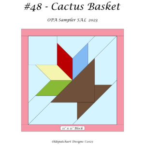 #48 Cactus Basket Pattern Cover