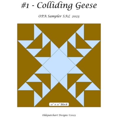 #1 Colliding Geese Cover
