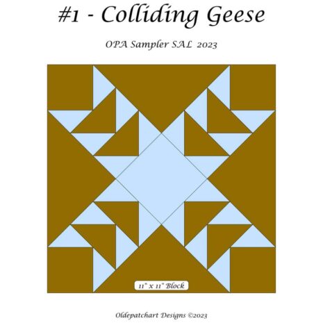 #1 Colliding Geese Cover