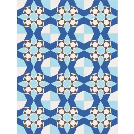 Pentagon Star Whole Quilt Sample Pentagon Star Whole Quilt Sample